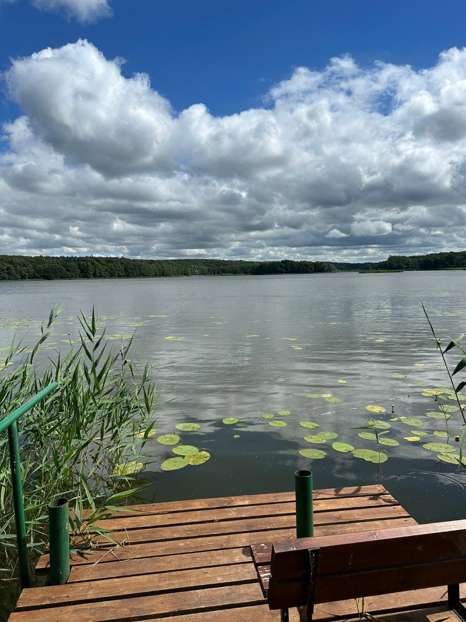 Brzezina Resort - Wille Жнін Екстер'єр фото