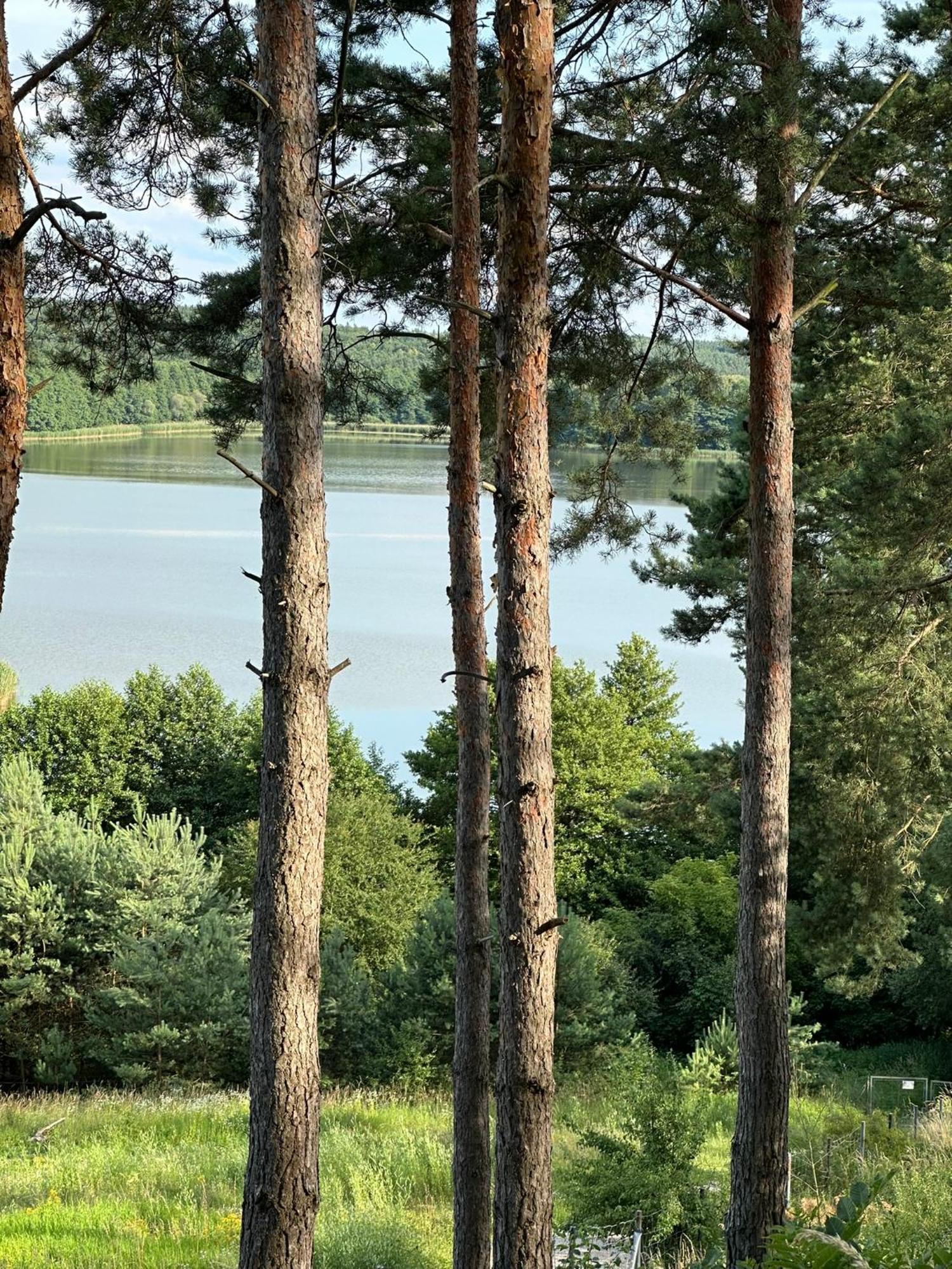 Brzezina Resort - Wille Жнін Екстер'єр фото